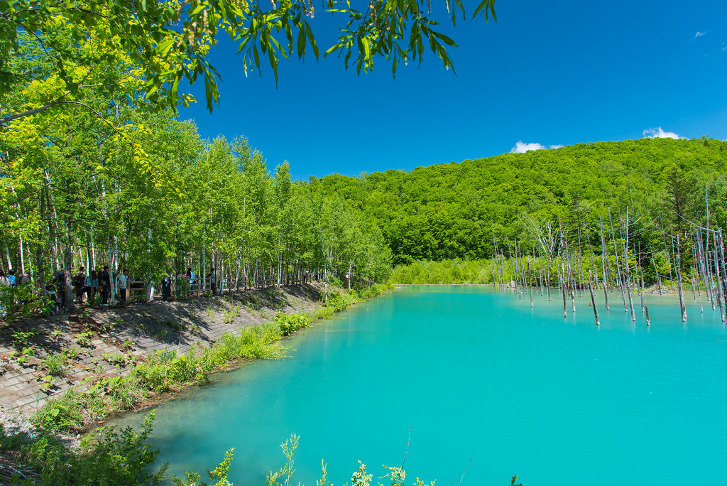 Shirogane Blue Pond