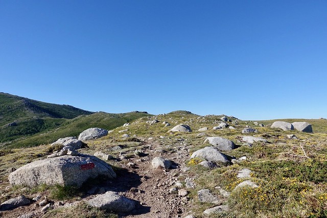 Trail to the col