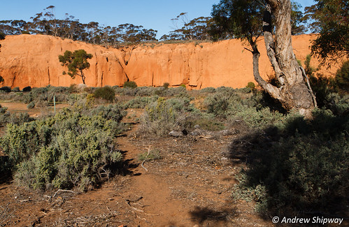 bushwalking landscape baldinacreek nationalpark deh burra dewnr redbanksconservationpark southaustralia baldina
