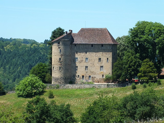 [174-002] Linac - Château de Puy-Launay