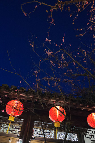 lansu chinese garden portland oregon night dusk lanternviewing redlanterns cherryblossoms