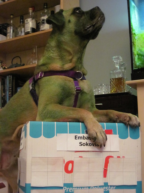 The InGretable Hulk on top of a box with the sign Embassy of Sokovia on it