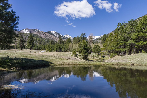 arizona coconinonationalforest flagstaffrangerdistrict forestservice lockettmeadow lockettmeadowcampground nationalforest pentaxk1 sanfranciscopeaks usfs flagstaff forest outdoors spring unitedstates