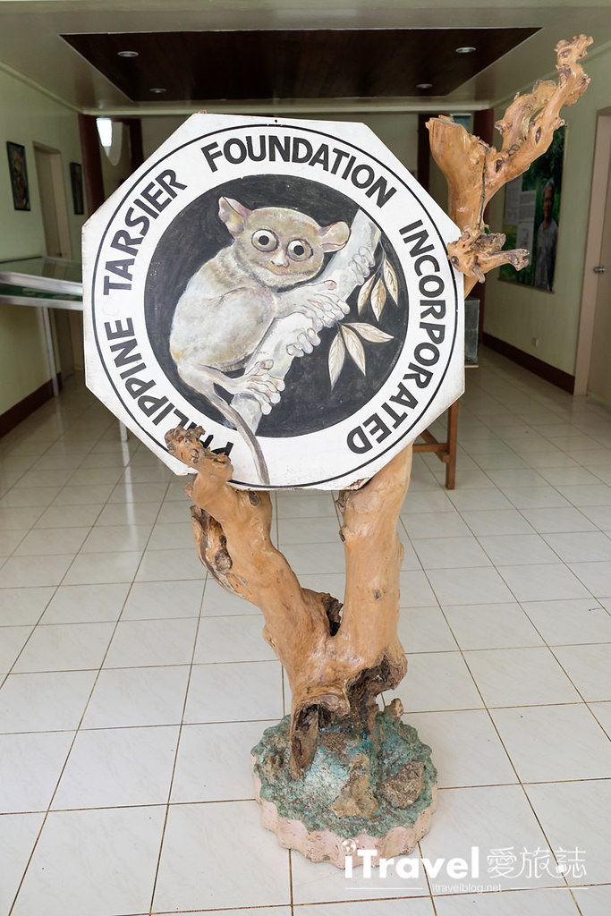 菲律宾薄荷岛眼镜猴保育中心 Tarsier Sanctuary (5)