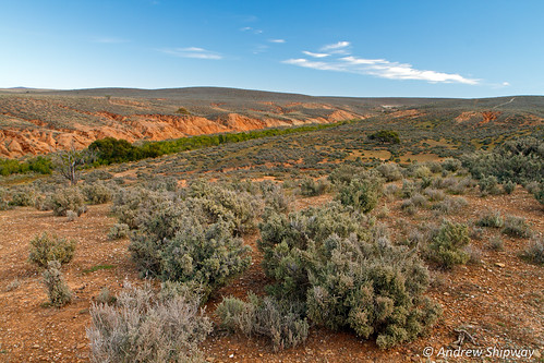 bushwalking landscape baldinacreek nationalpark deh burra dewnr redbanksconservationpark southaustralia baldina