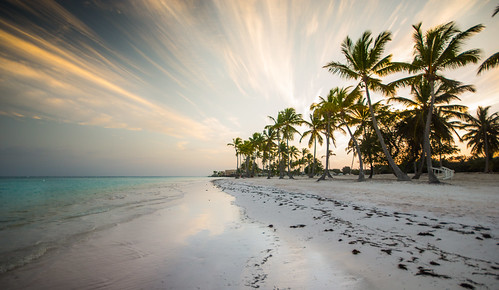 sunset atardecer playa beach caribe caribbean dominicana dominicanrepublic palmeras palms nubes clouds shoreline