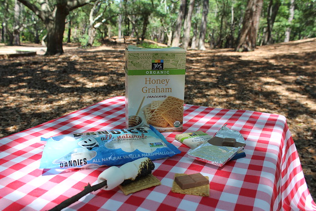 All natural s'mores at your all natural Virginia State Park
