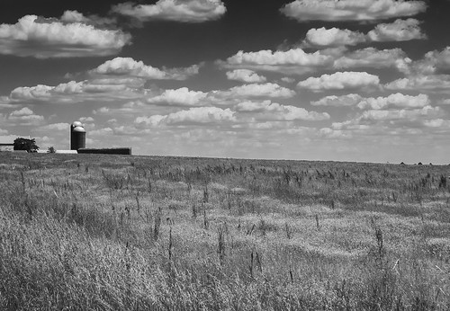 ohio farm field country rural blackandwhite bw monochrome niksep olympusstylustoughtg4 tg4 olympus geotagged raw orf cc7