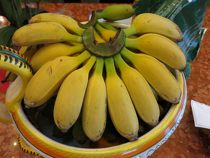 Musa Goldfinger  Bananas  Wiki