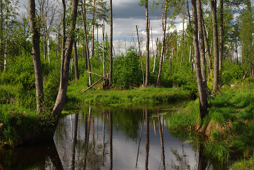 landscape nature river ryazan russia pentax pentaxda35mm
