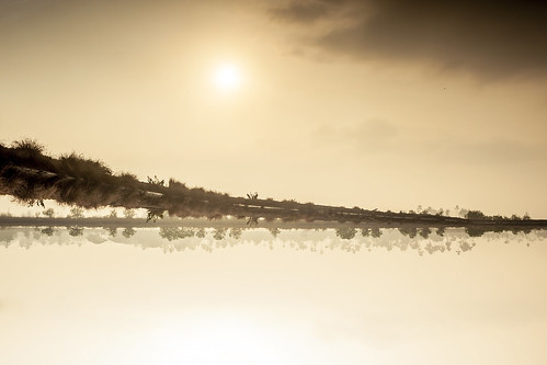 golden sunrise godsown upsidedown reflection reverse kerala india cochin kochi kadamakkudy canon lake water sky