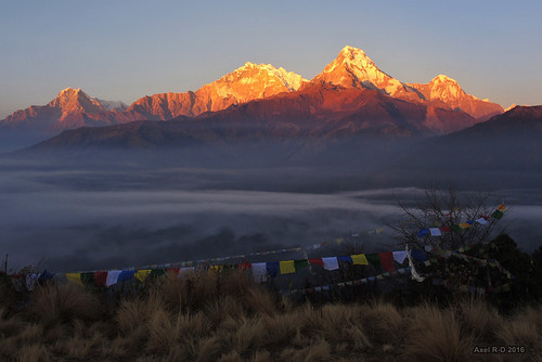 annapurnai annapurnasouth coucherdesoleil montagnes nepal nilgiri poonhill