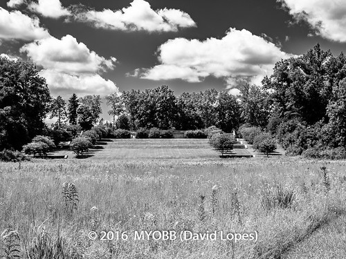 allrightsreserved dukefarms hillsborough nj newjersey copyrighted nature ©2016davidlopes olympus em1 omd