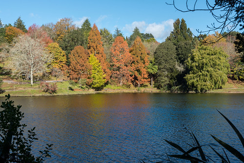 autumn mclarensfalls landscape waikato walk bluesky fall newzealand colour lowerkaimai bayofplenty nz