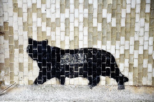 black cat basingstoke subway basing view stencil art