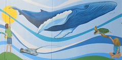 Mullaloo, Western Australia - Whale, Turtle & Ray Mural