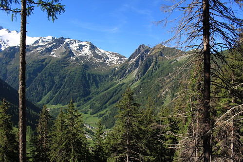 valais suisse martignycombe trient valléedutrient montagnes nature montarpille forêts arbres paysages printemps vert bleu glacierdesgrands