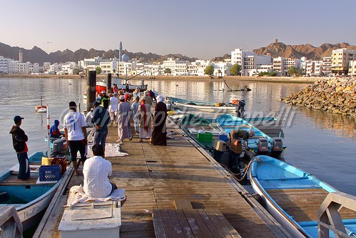 oman muscat muttrah fishdocks fishermen earlymorning sunrise arab harbor port fishmarket middleeast mosque minaret