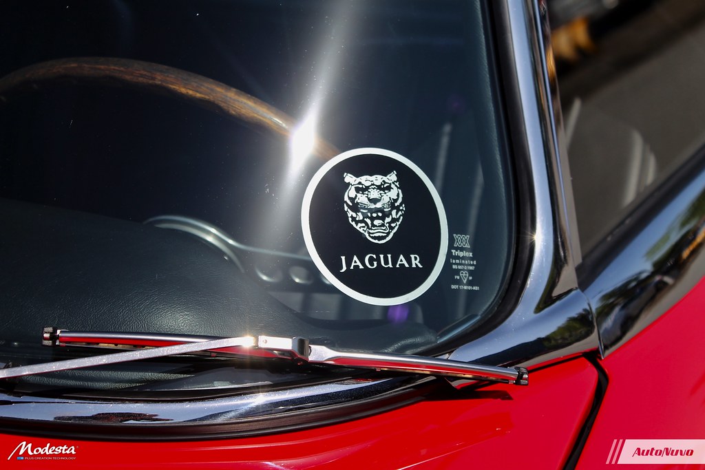 Jaguar E-Type: Clear Bra + Modesta
