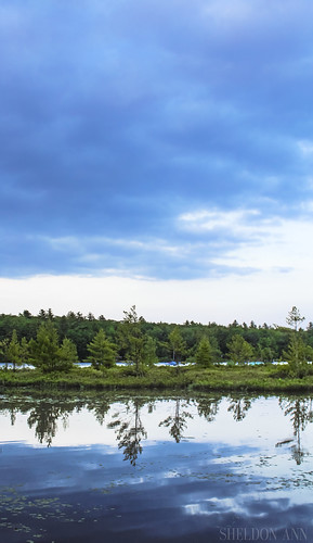 water trees lake reflection sky clouds blue green nature landscape moose pond bridgton maine tree canon