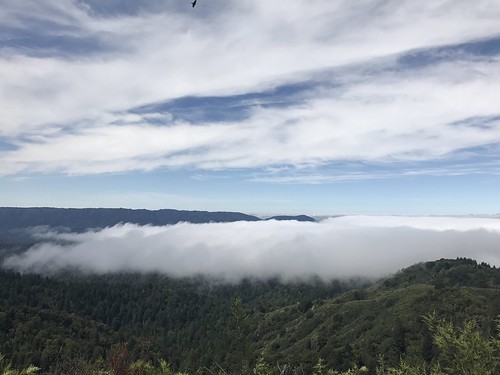 hiking california losgatos santacruzmountains travel hike nature outdoors castlerockstatepark