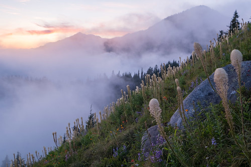 bandera banderamountain beargrass fog hiking snoqualmiepass sunset washington wildflowers