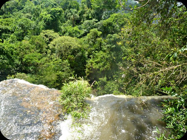 Iguazu6