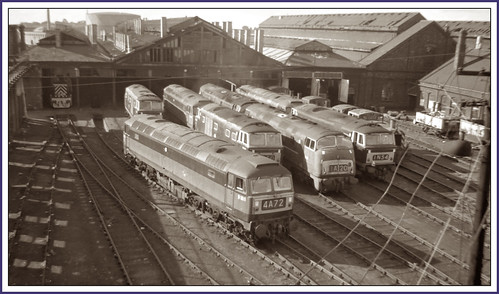 swindonlocoshed82c 1960s d1811 diesels railway bw