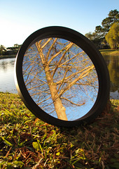 Nature's mirror