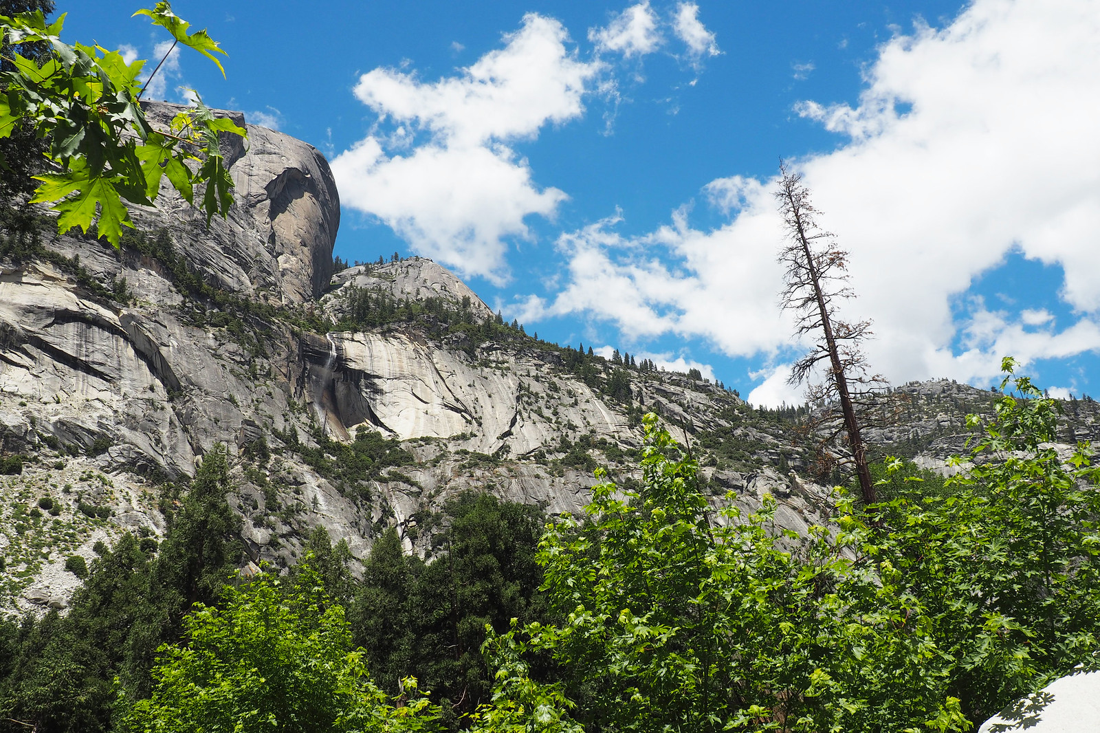 Yosemite National Park 6