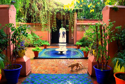 maroco012015 elisabethgaj marrakech afryka travel garden