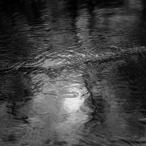 captaindanielwrightwoods d5000 desplainesriver nikon abstract blackwhite blackandwhite bw distortion forest landscape light monochrome natural noahbw reflection ripples river square water winter woods