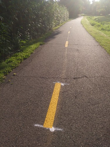 Lucky Run (Arlington VA) multi-use trail - early morning