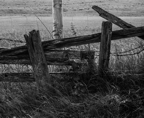 landscape abstract rural northeast monochome 6x7 bw black white toyo45a fence