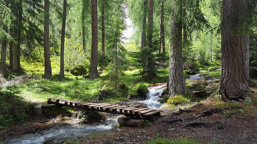 märchen landscape landschaft wasser brücke bäume jackbloom österreich trekking