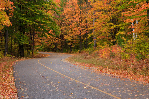 hartwickpinesstatepark mi michigan october upnorth autumn fall fallcolors fallfoliage landscape leafpeeping nature road statepark travel grayling unitedstates us