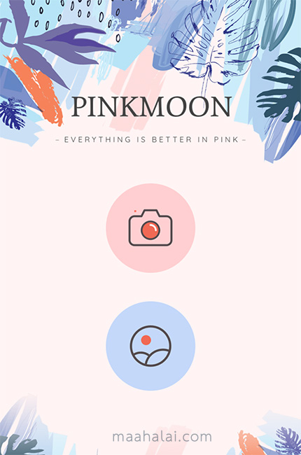 PinkMoon Flamingo
