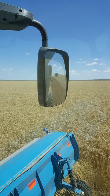 Schemper 2017 - Kansas Stateline Wheat Harvest