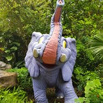 Disney's Animal Kingdom Theme Park 2017-06