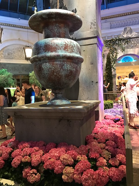 Bellagio pink hydrangeas