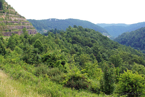 westvirginia west virginia outdoor outdoors nature tree trees forest rural valley gorge mountain mountains hill
