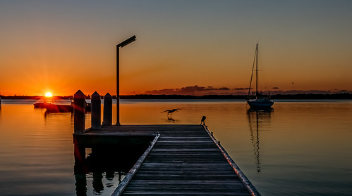 lumix nsw lake water pelican bird sunrise jetty bots
