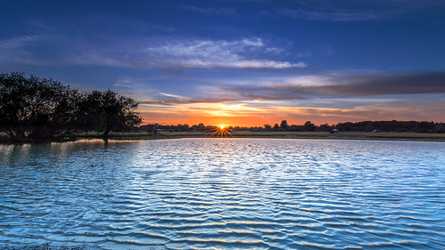 newforest sunset sun janesmoor pond reflection water tree cloud ripples flare landscape hdr