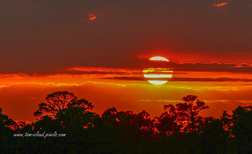 sun sunset sky red redsky weather trees clouds cloudy nature mothernature outdoors outside fortpierce florida usa landscape