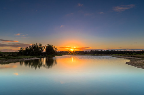 newforest landscape sun sunrise cloud pond slufters tree water reflection