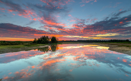 newforest slufters pond reflection sunrise dawn cloud water landscape