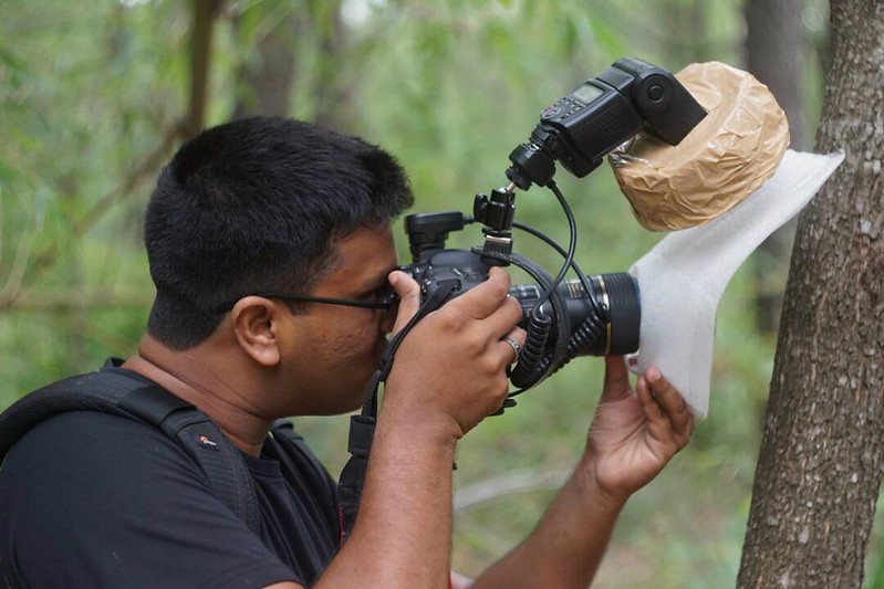 Shooting the bark mantis Thanks to Pradyu for the image :)