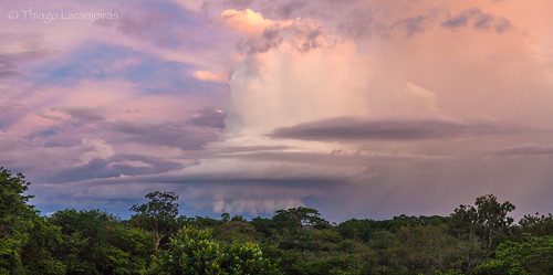 amazon amazonia nuvem paisagem roraima ceu chuva clouds floresta forest landscape rain rio river sky sol sun