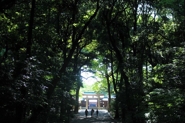 meijijingu105