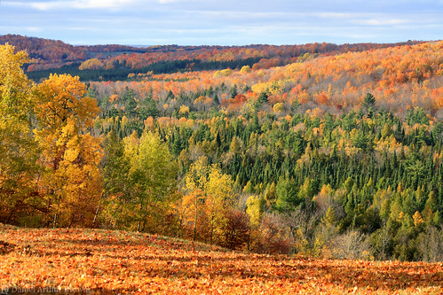 gaylord mi michigan october treetopsresort vacation autumn fall fallcolors fallfoliage landscape leafpeeping nature travel